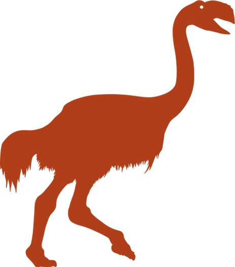 dromornis.png